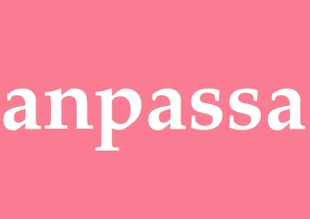 Synonym anpassa