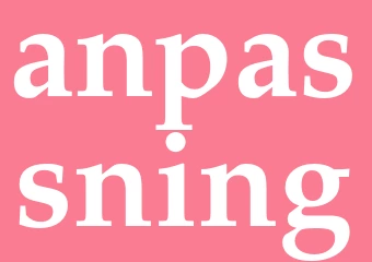Synonym anpassning