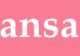 Synonym ansa