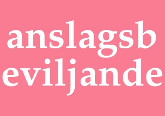 Synonym anslagsbeviljande