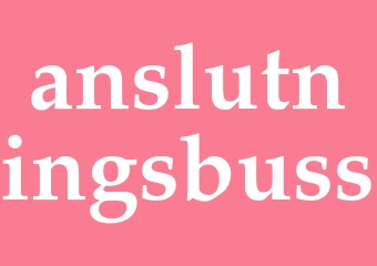 Synonym anslutningsbuss