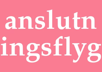 Synonym anslutningsflyg