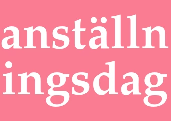 Synonym anställningsdag