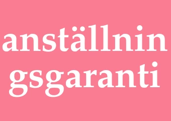 Synonym anställningsgaranti