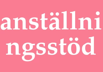 Synonym anställningsstöd