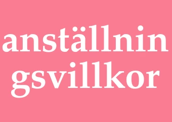 Synonym anställningsvillkor
