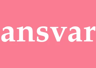Synonym ansvar