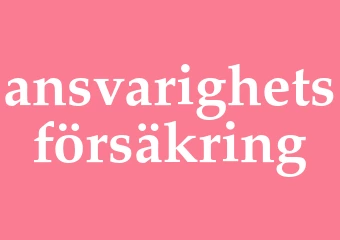 Synonym ansvarighetsförsäkring