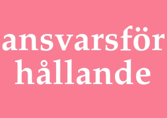 Synonym ansvarsförhållande