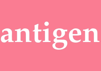 Synonym antigen