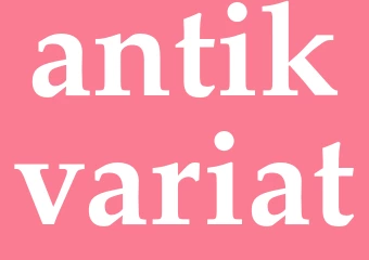 Synonym antikvariat