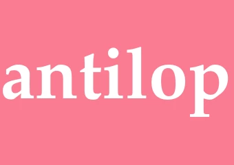 Synonym antilop