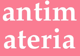 Synonym antimateria
