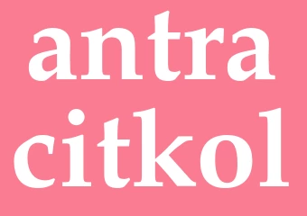 Synonym antracitkol
