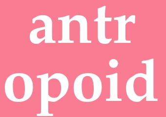 Synonym antropoid
