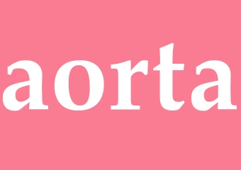 Synonym aorta