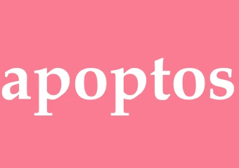 Synonym apoptos