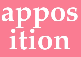 Synonym apposition
