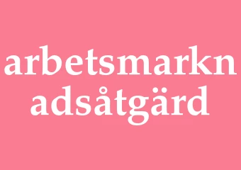 Synonym arbetsmarknadsåtgärd