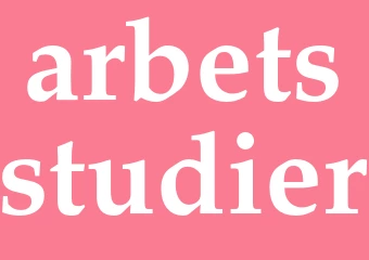 Synonym arbetsstudier