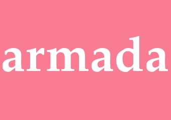 Synonym armada