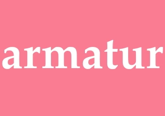 Synonym armatur