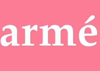Synonym armé