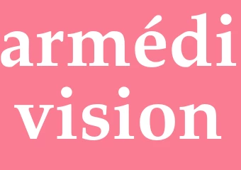 Synonym armédivision