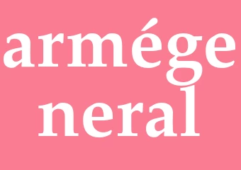 Synonym armégeneral