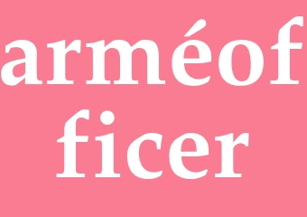 Synonym arméofficer