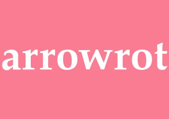 Synonym arrowrot