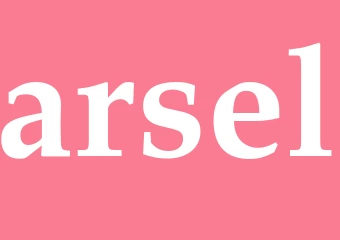 Synonym arsel