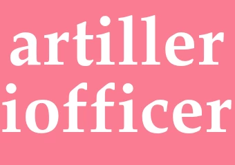 Synonym artilleriofficer