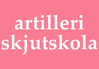 Synonym artilleriskjutskola