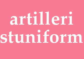 Synonym artilleristuniform