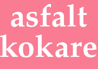 Synonym asfaltkokare