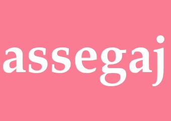 Synonym assegaj