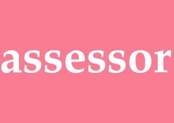 Synonym assessor