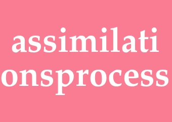 Synonym assimilationsprocess