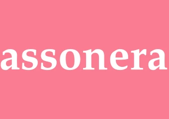 Synonym assonera