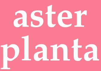 Synonym asterplanta