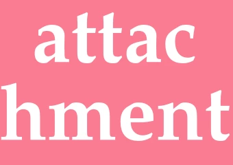 Synonym attachment