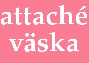 Synonym attachéväska