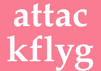 Synonym attackflyg
