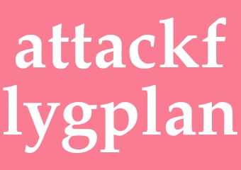 Synonym attackflygplan