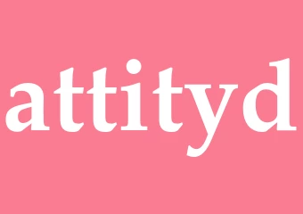 Synonym attityd