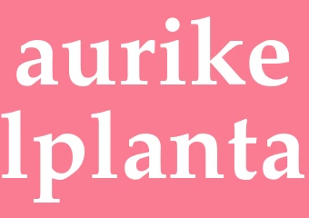 Synonym aurikelplanta