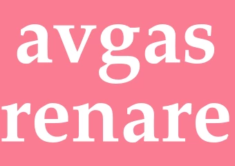Synonym avgasrenare