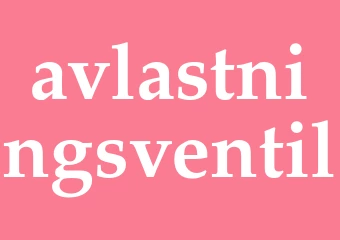 Synonym avlastningsventil