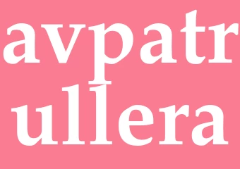 Synonym avpatrullera